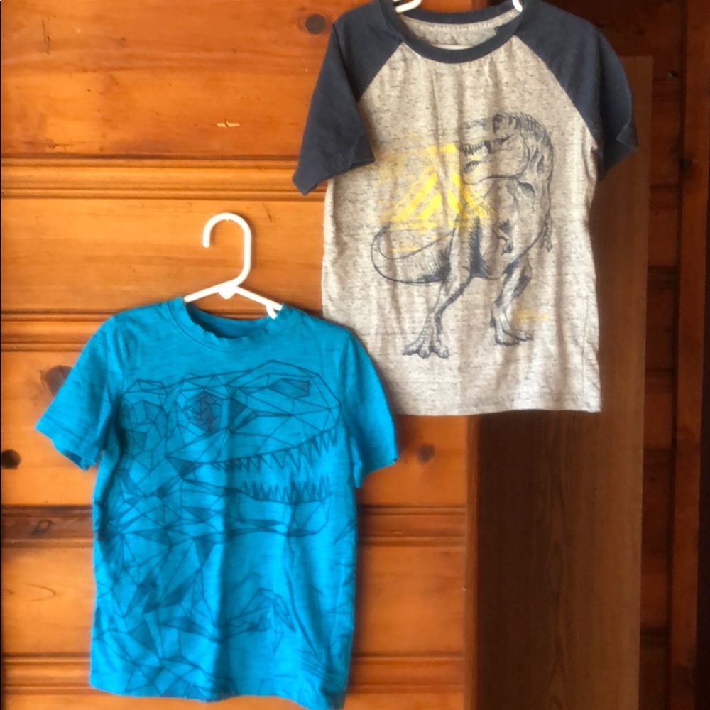 Dinosaur shirt bundle